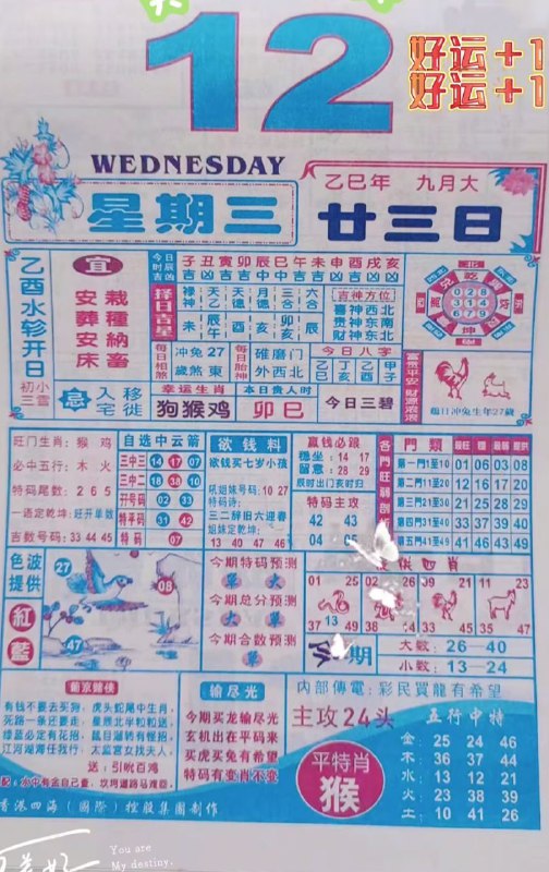 2025年11月12日.九月甘三，星期三2025年11月12日.九月甘三，星期三