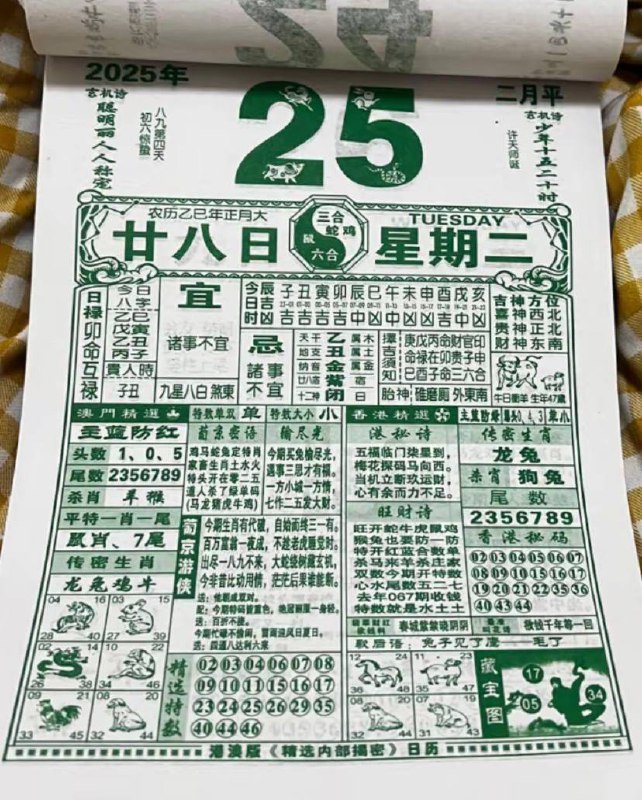 2025年2月25日，正月二十八，星期二2025年2月25日，正月二十八，星期二