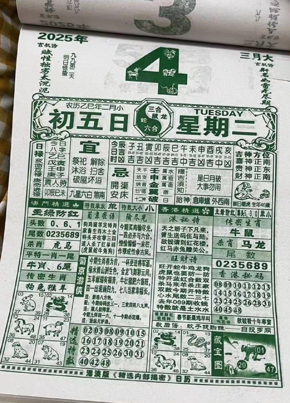 2025年3月4日，二月初五，星期二2025年3月4日，二月初五，星期二