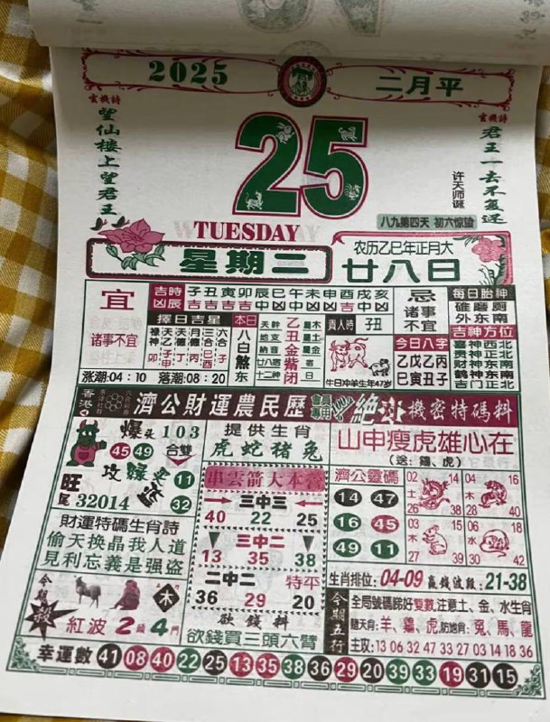 2025年2月25日，正月二十八，星期二2025年2月25日，正月二十八，星期二