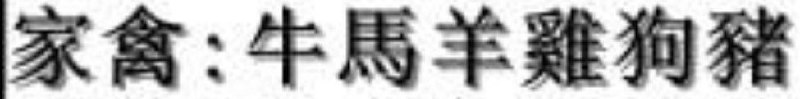 今晚🏁重点下注: 家禽生肖