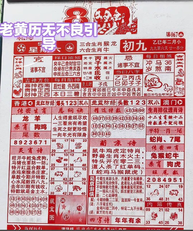 2025年3月8日，二月初九，星期六2025年3月8日，二月初九，星期六