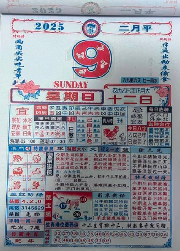2025年2月9日一月十二，星期日2025年2月9日一月十二，星期日