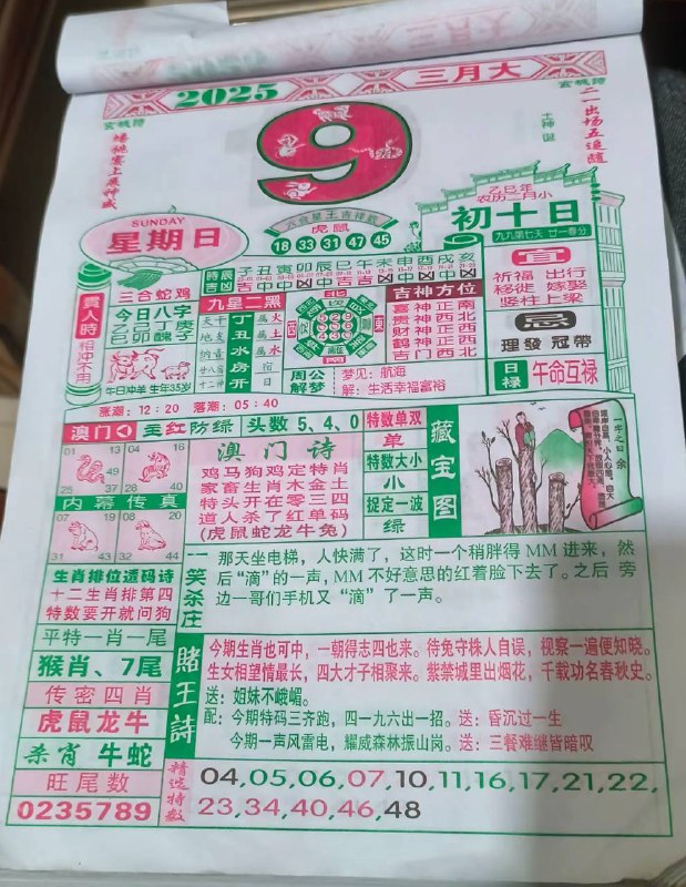 2025年3月9日，二月初十，星期日2025年3月9日，二月初十，星期日