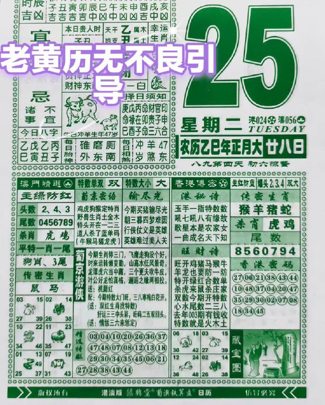2025年2月25日，正月二十八，星期二2025年2月25日，正月二十八，星期二