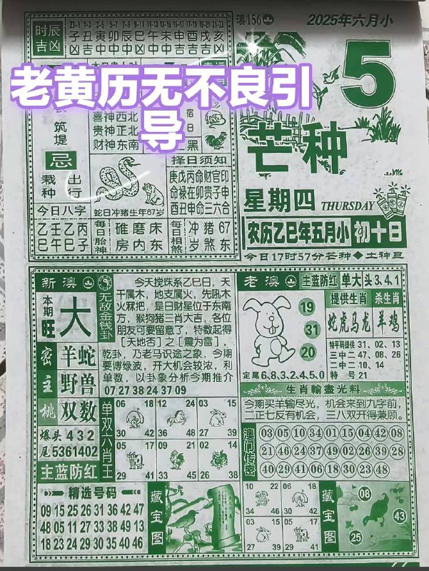 2025年6月5日，五月初十，星期