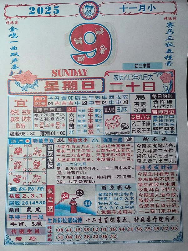2025年11月9日.九月二十，星期日2025年11月9日.九月二十，星期日