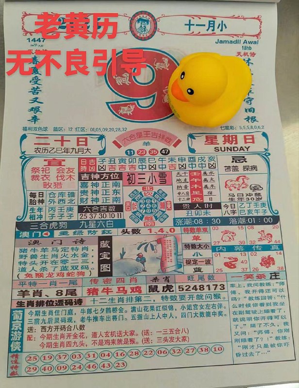 2025年11月9日.九月二十，星期日2025年11月9日.九月二十，星期日