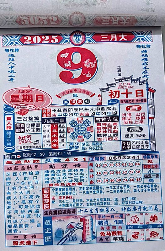 2025年3月9日，二月初十，星期日2025年3月9日，二月初十，星期日