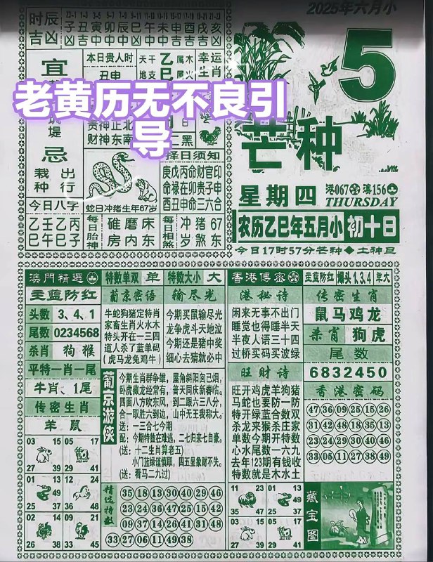 2025年6月5日，五月初十，星期