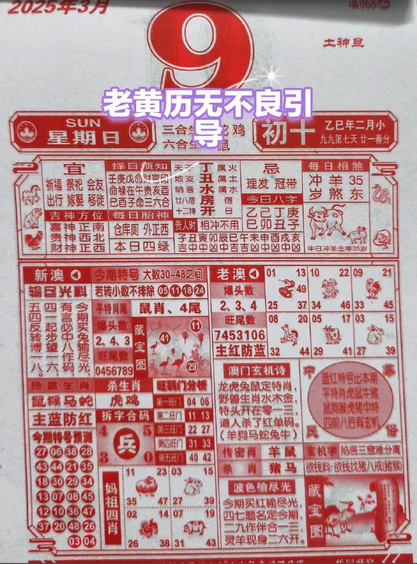 2025年3月9日，二月初十，星期日2025年3月9日，二月初十，星期日