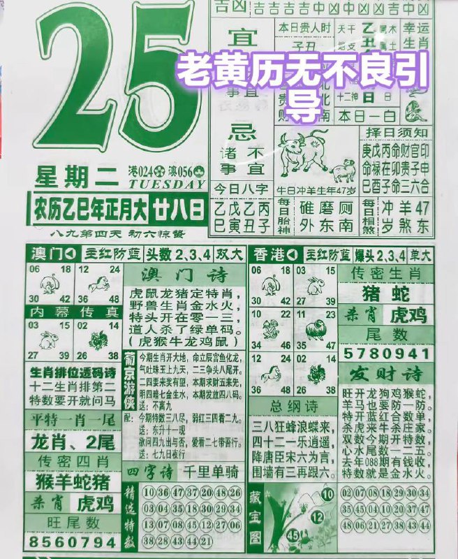 2025年2月25日，正月二十八，星期二2025年2月25日，正月二十八，星期二