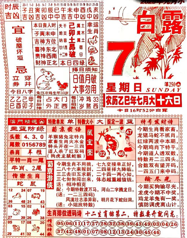 2025年9月7日，七月十六，星期日2025年9月7日，七月十六，星期日