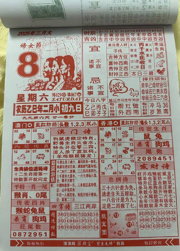 2025年3月8日，二月初九，星期六2025年3月8日，二月初九，星期六