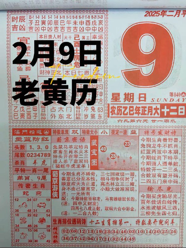 2025年2月9日一月十二，星期日2025年2月9日一月十二，星期日
