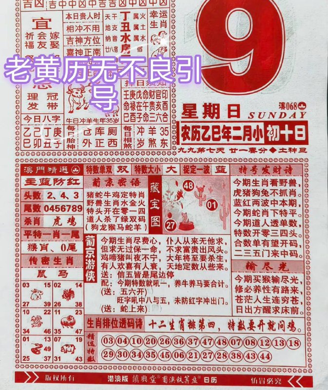 2025年3月9日，二月初十，星期日2025年3月9日，二月初十，星期日