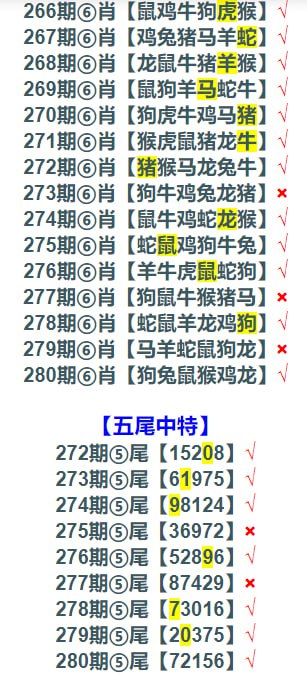 网红料网红料